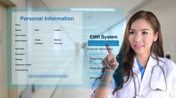What are EMRs (Electronic Medical Records) | How to Use EMR System